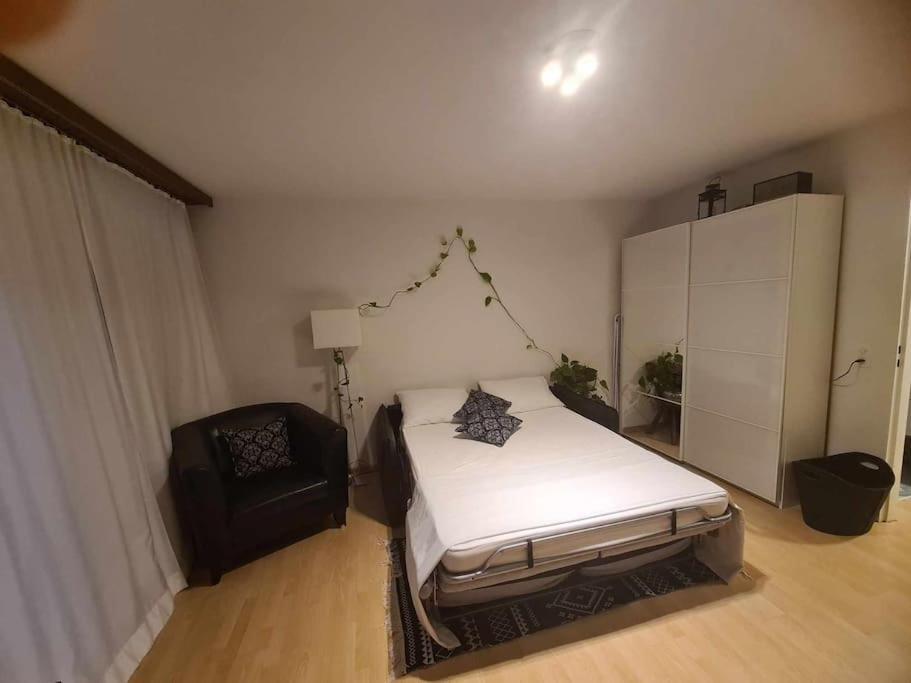 Cozy Apartment In Zuerich City Dış mekan fotoğraf